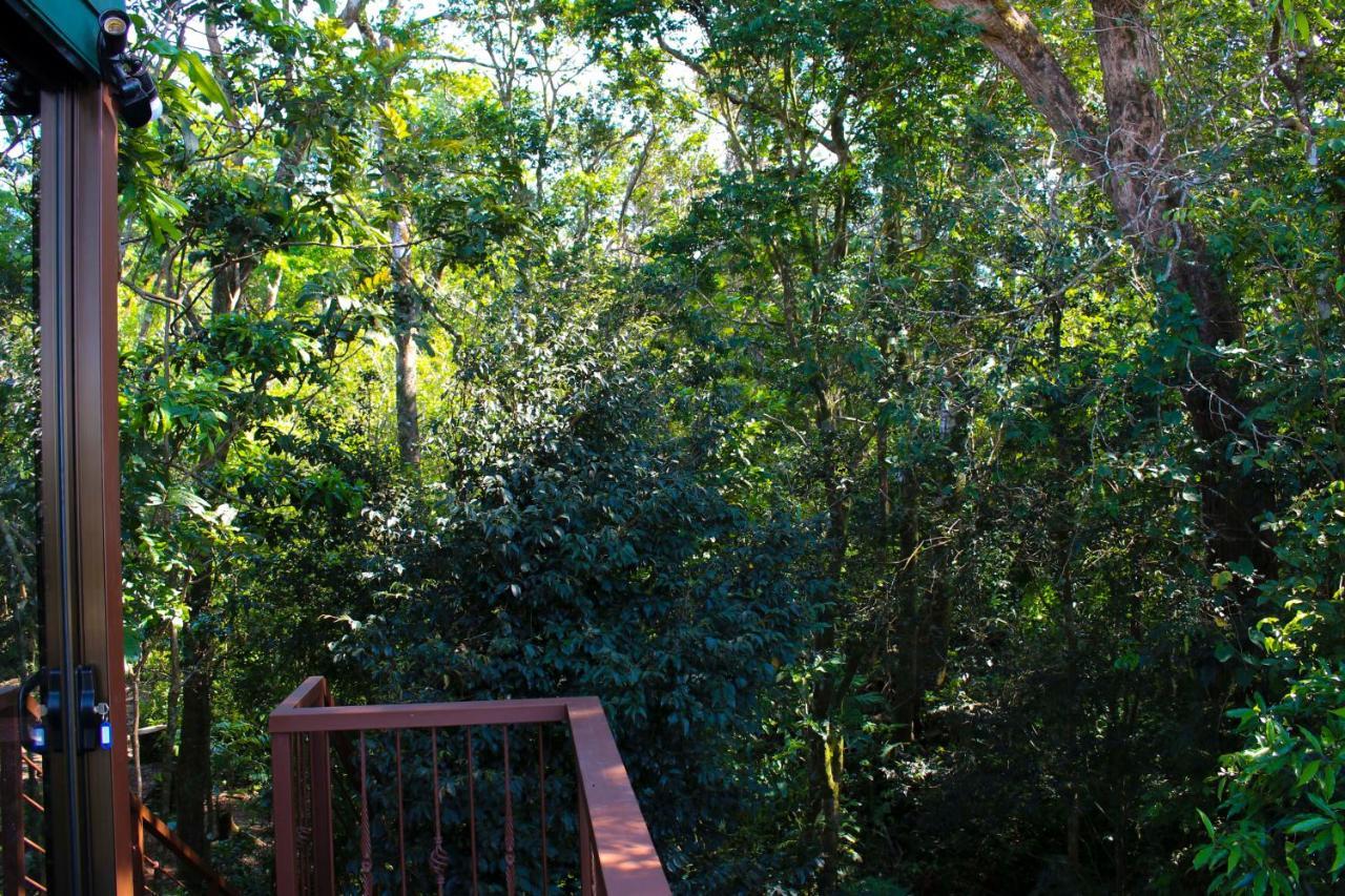 Quality Cabins Monteverde Екстериор снимка